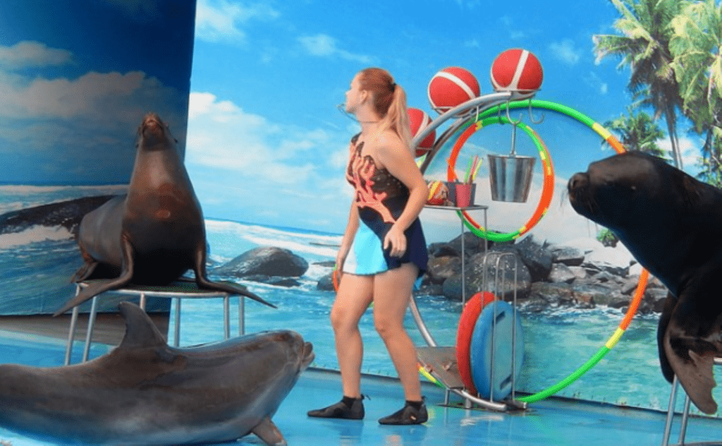 Дельфинарий, дом под ключ у моря, станица Голубицкая, Азовское море